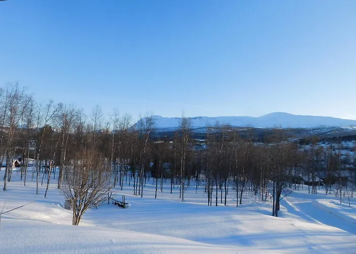 Ostello Soltun Soldatheim & Ungdomssenter *